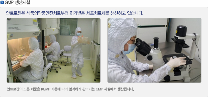 안트로젠 본사 및 의약품 제조시설 공개 사진