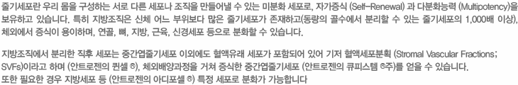 지방유래 중간엽줄기세포 설명