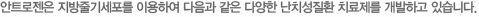 줄기세포 활용 설명 제목